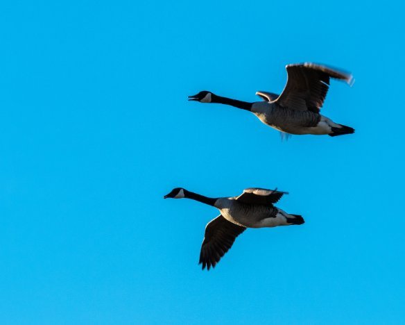 20190417-1