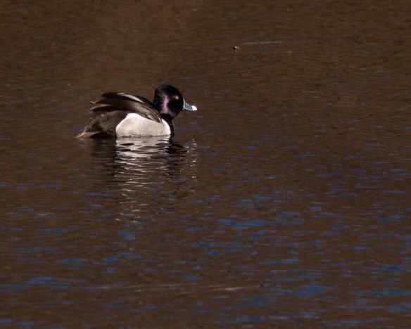 20190416-4