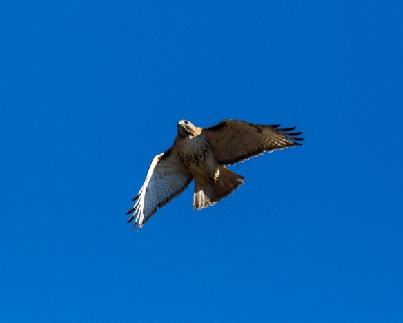20181226-1