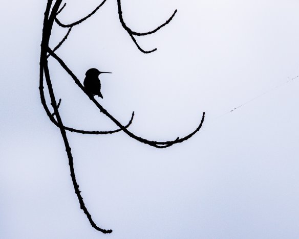 20220810-02