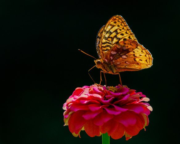 20190830-1