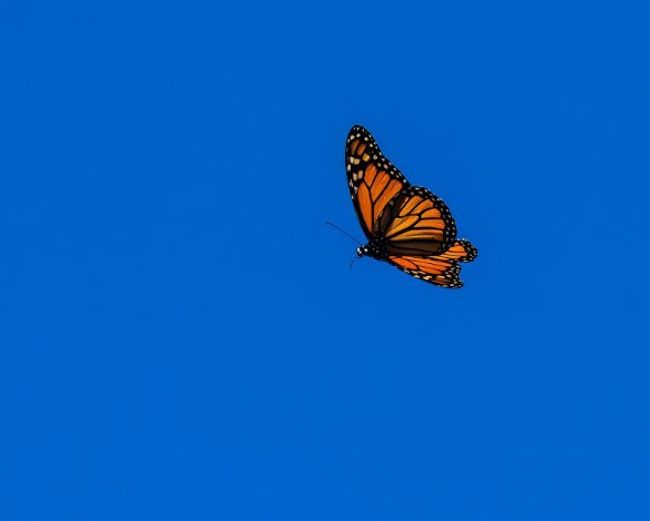 20221006-01