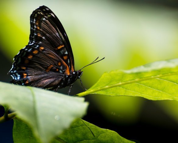 IMG_32056-Edit