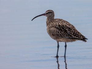 Feb_2023