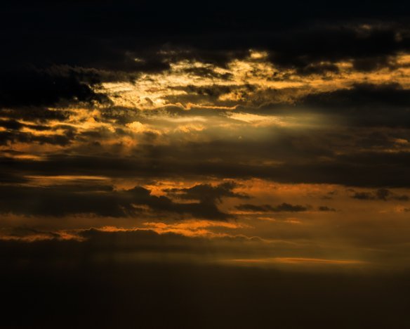 20180728-8