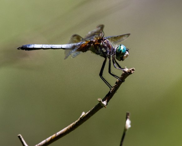 20190719-1