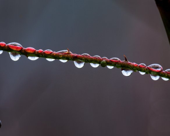 20191214-01