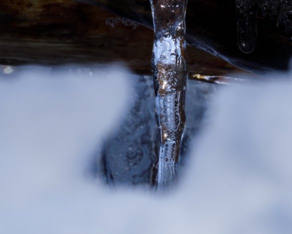20180311-1