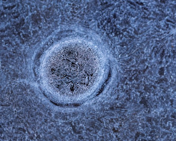 20190112-1
