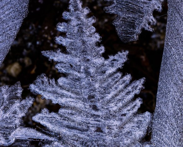20190112-2