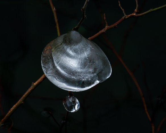 20190203-10