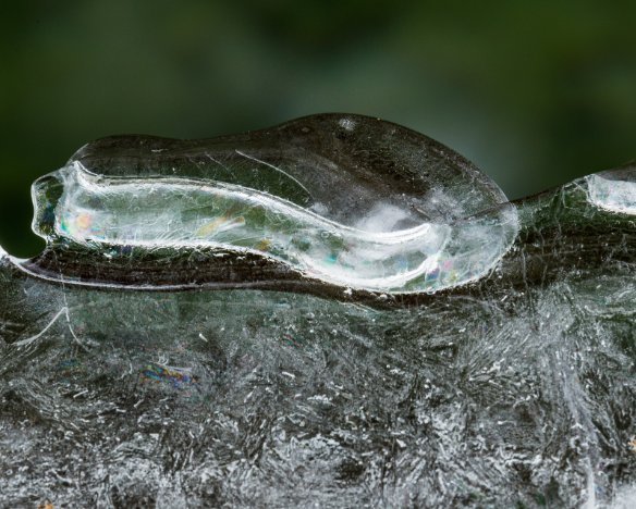 20190203-2