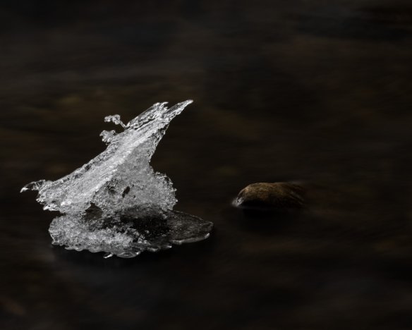 20201220-01