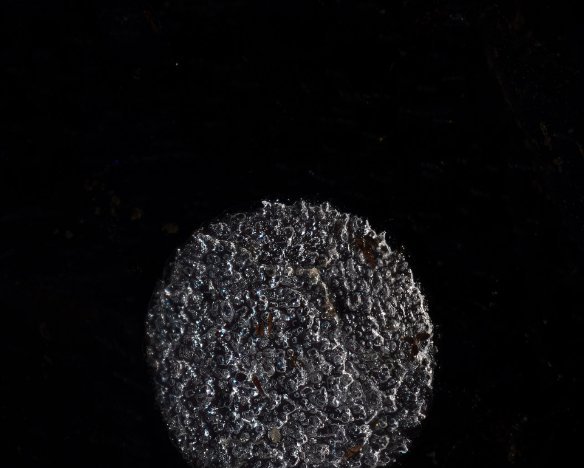 20250119-08