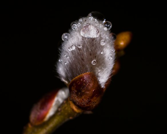 20170325-7