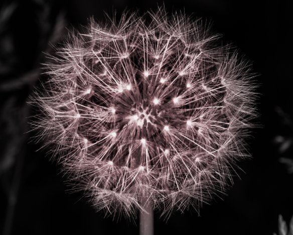 20170522-1