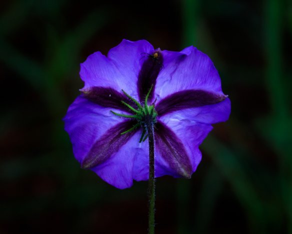 20180729-3