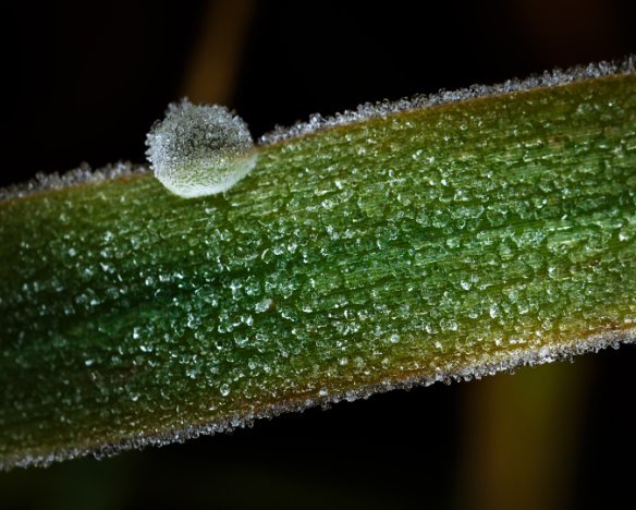 20161208-5