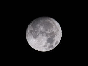 Moon