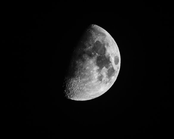 20190413-6
