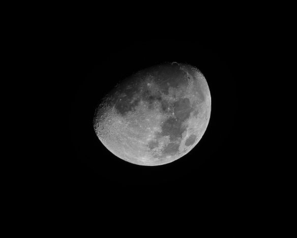 EOS R5_01678-Edit