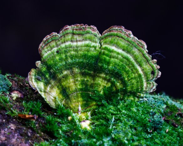 20190615-5
