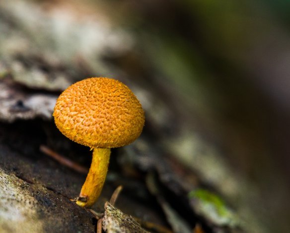 20190908-2