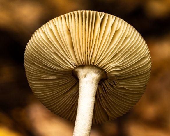 20190915-1