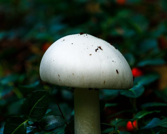 20190915-5