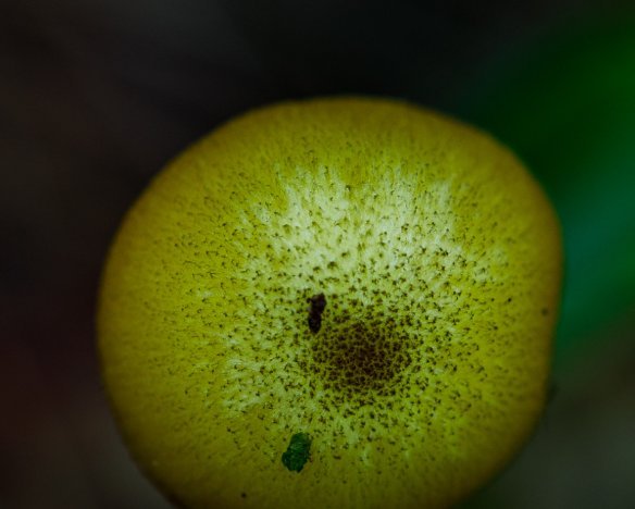 20190921-6