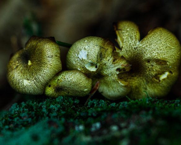 20190921-7