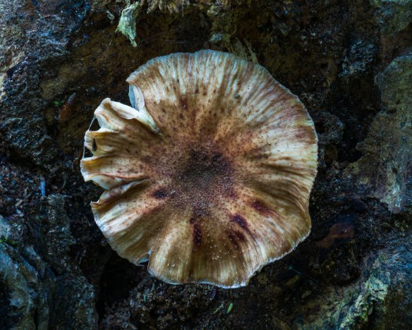 20190929-4