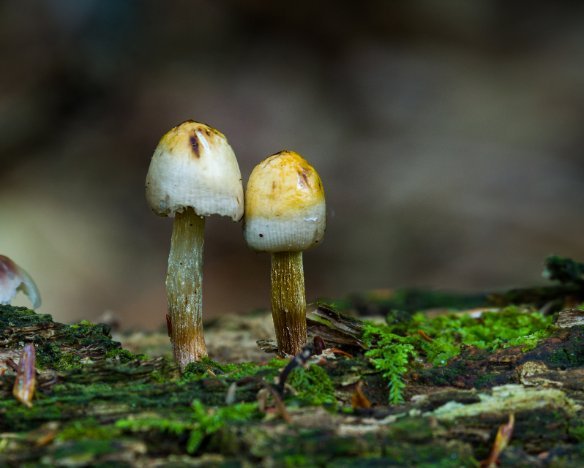 20190929-5