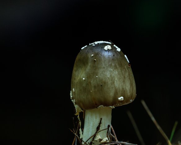20200730-08