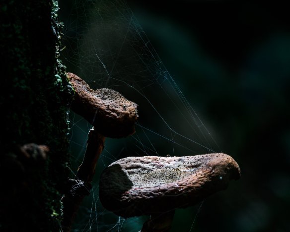 20200920-04