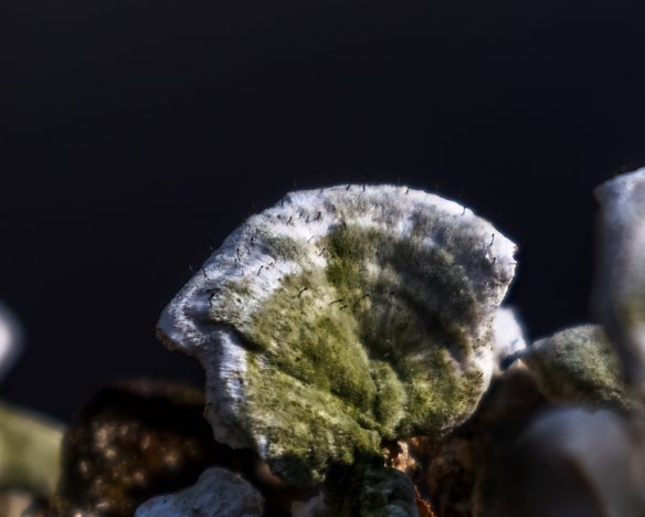 20210327-02