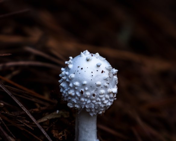 20210831-01