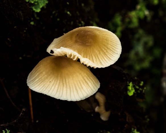 20210918-02