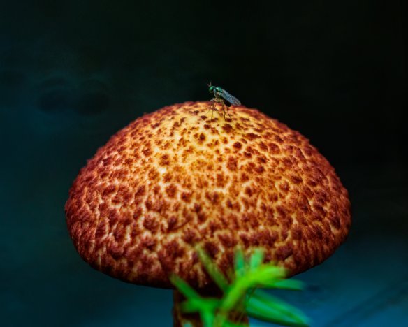 20230730-05