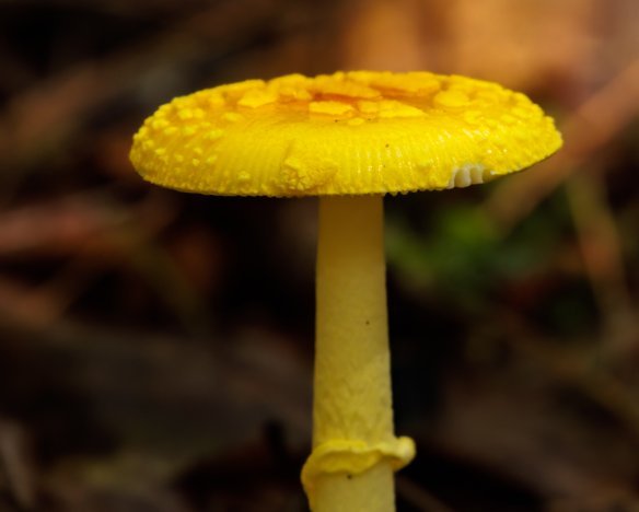 20230730-09