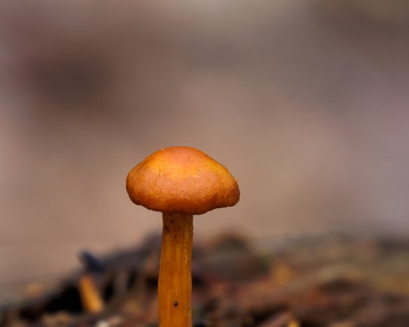 20230819-01