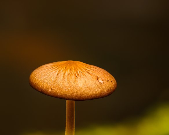 20230819-04