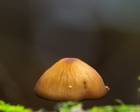 20230819-05