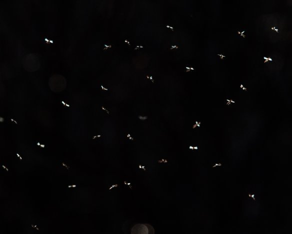 20190327-2