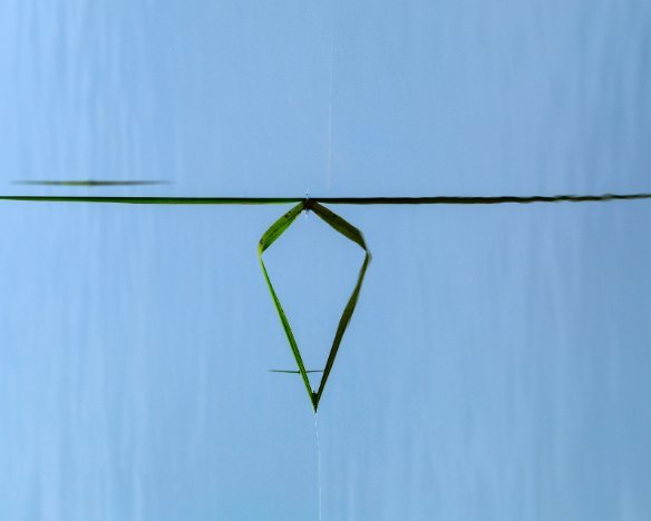 20190501-1