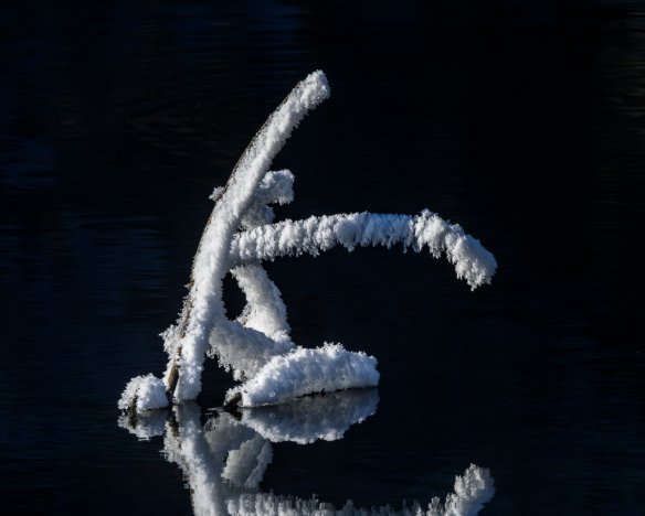 20191208-03