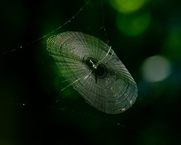 20190830-2