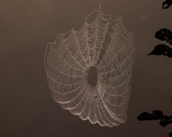 20220910-02