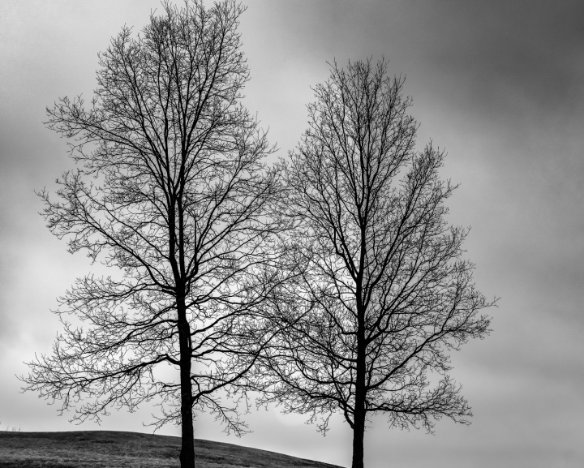 20160316-7