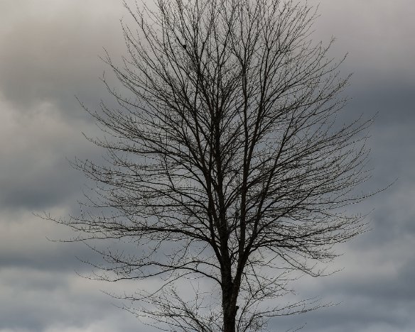 20180304-3